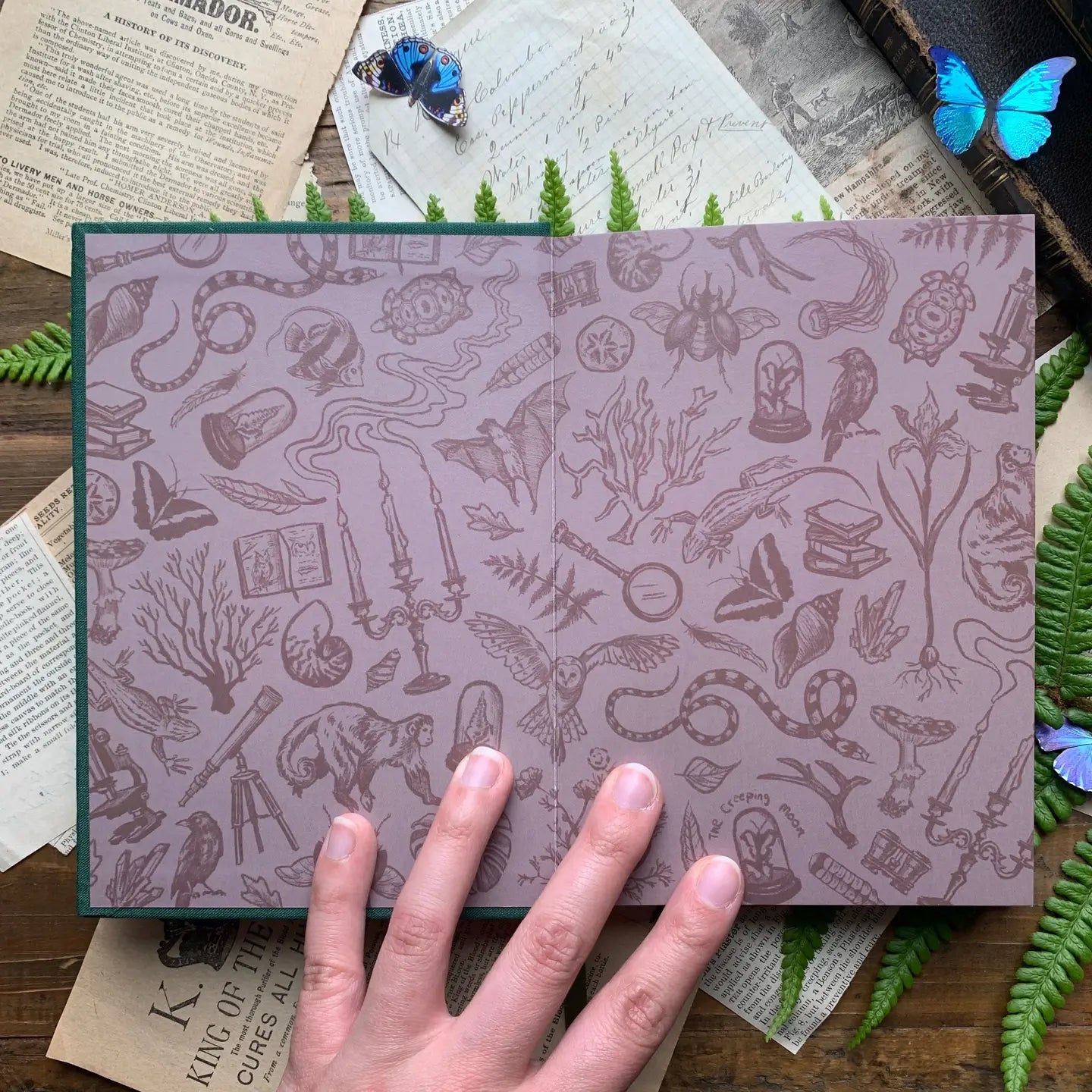 The Creeping Moon B6 Watercolor Sketchbook - The Botanist - Gold
