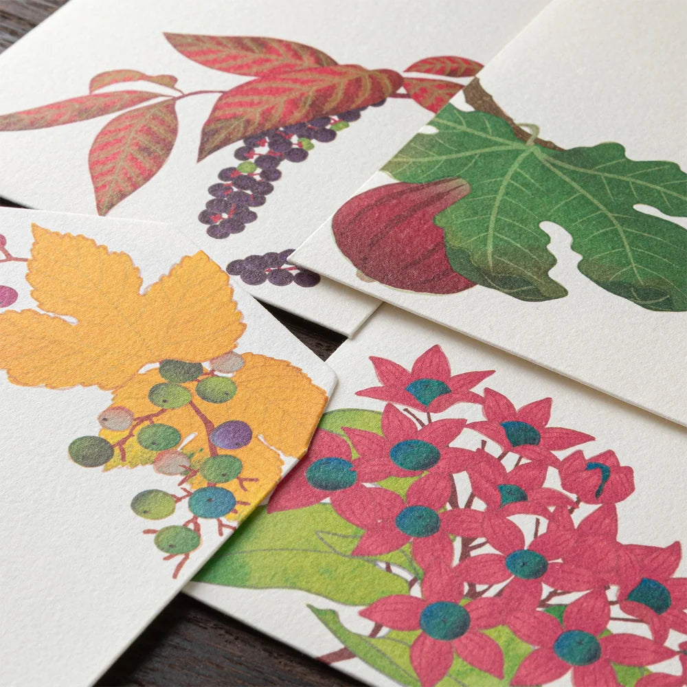 Midori Envelope - Autumn Fruits (Four Designs)