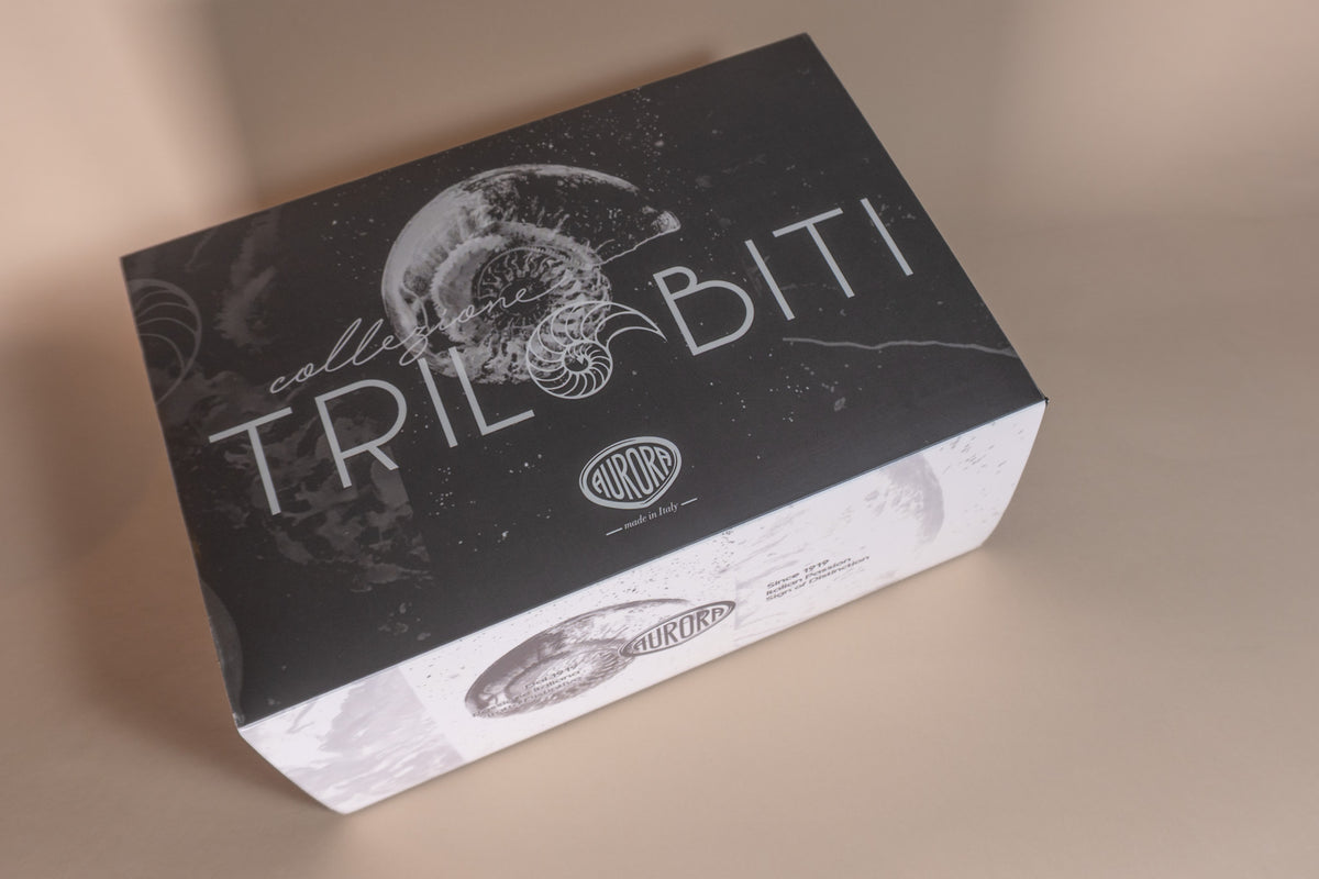 Pre-Owned Aurora Trilobiti Cioccolato Fountain Pen - Medium