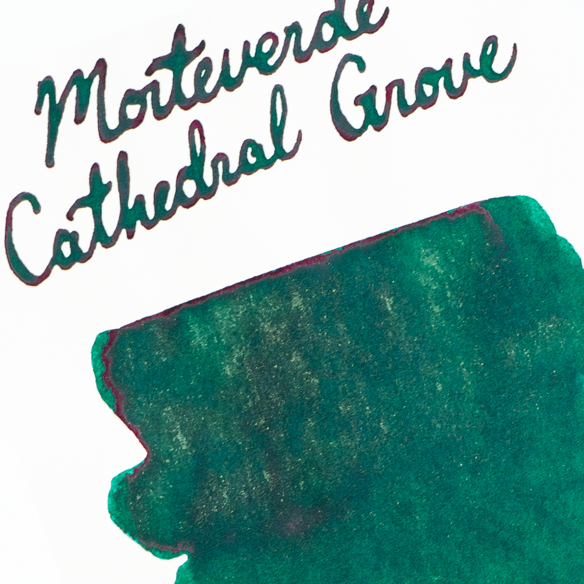 Monteverde Cathedral Grove (90ml) Bottled Ink (Dromgoole's Exclusive)