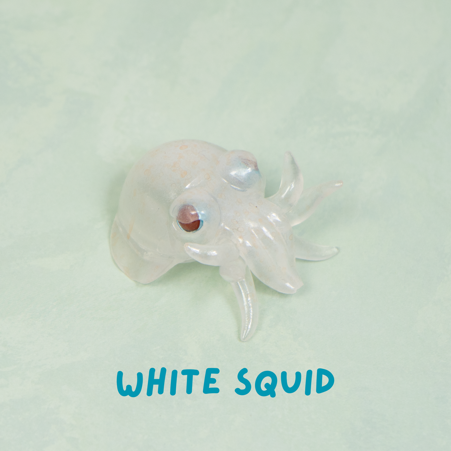 Ahnitol Squid Pen Holders