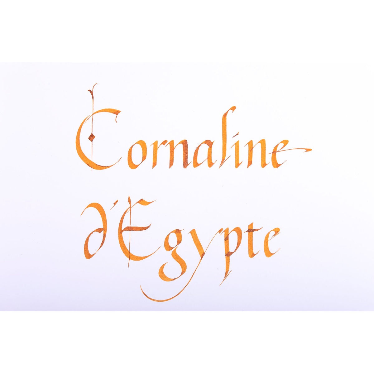 Jacques Herbin 1798 Cornaline d'Egypte (Carnelian of Egypt) 15ml Bottled Ink