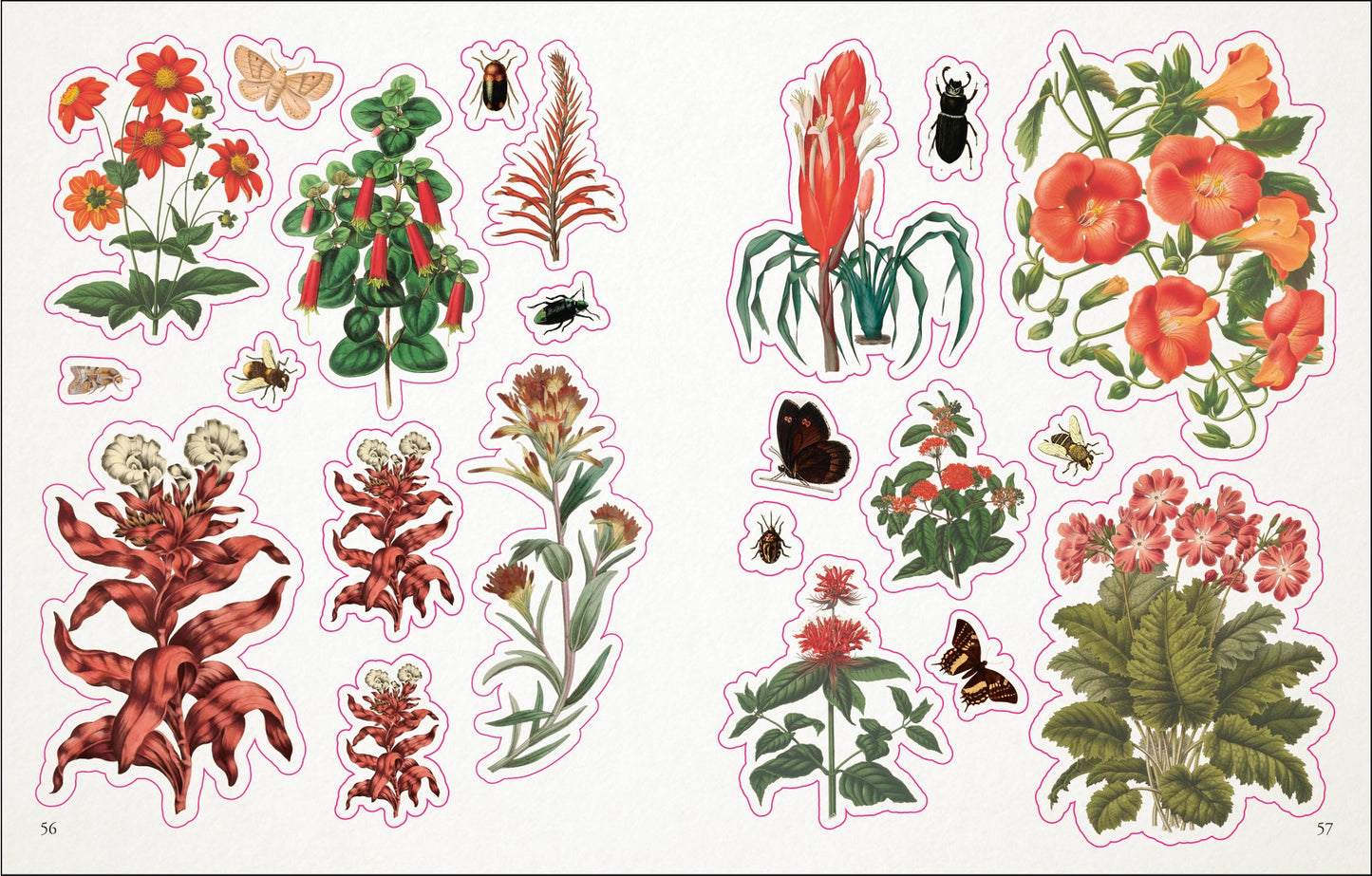 Penguin Random House Sticker Book - Botanist's Anthology