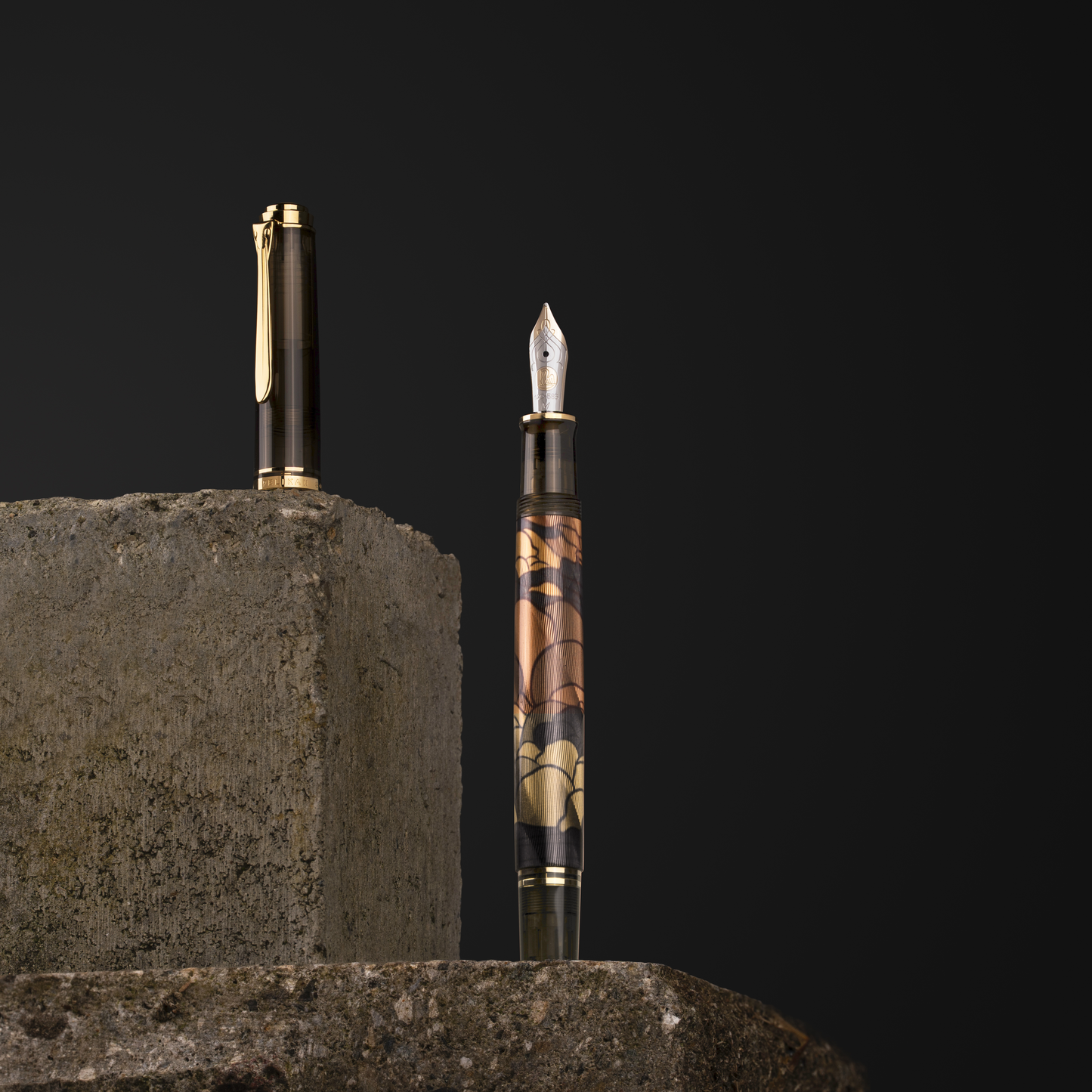 Pelikan Souverän M600 Series Art Collection II Fountain Pen - Georg Tippel (Special Edition)