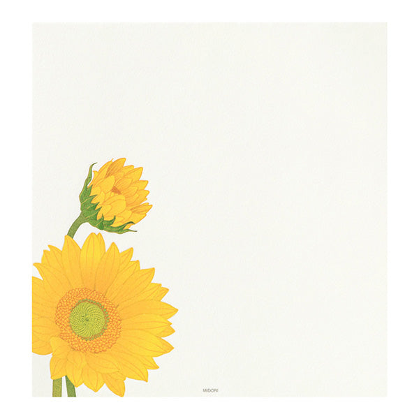 Midori Letterpad - Sunflower (Four Designs)