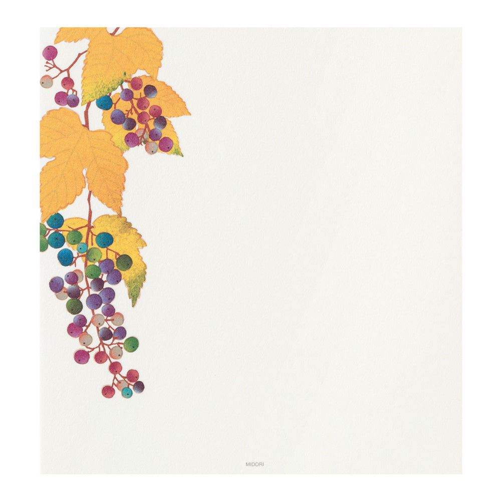 Midori Letterpad - Autumn Fruits (Four Designs)