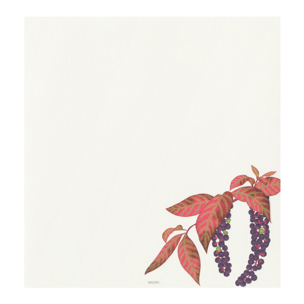 Midori Letterpad - Autumn Fruits (Four Designs)