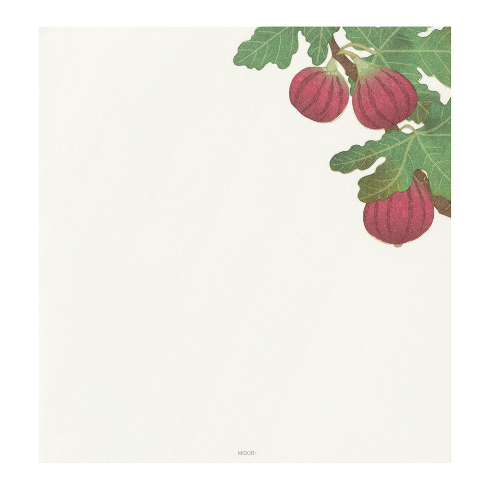 Midori Letterpad - Autumn Fruits (Four Designs)