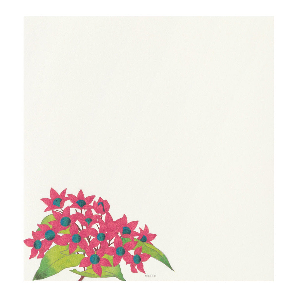 Midori Letterpad - Autumn Fruits (Four Designs)