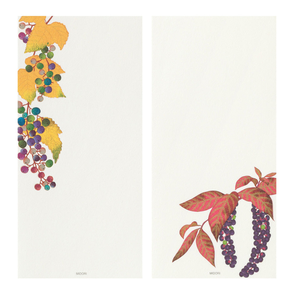 Midori Message Letterpad - Autumn Fruits (Four Designs)