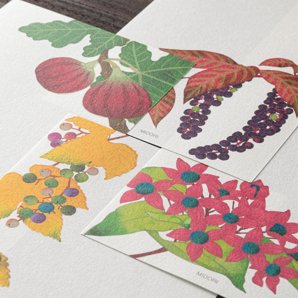 Midori Message Letterpad - Autumn Fruits (Four Designs)