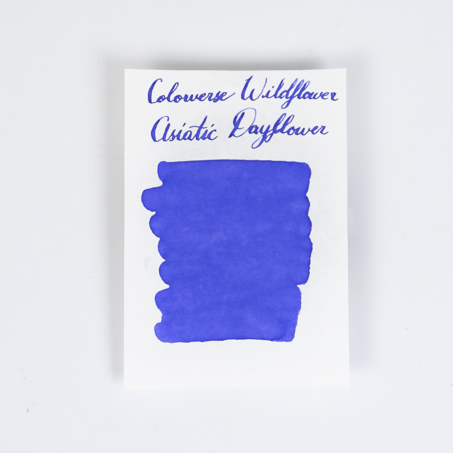 Colorverse Asiatic Dayflower (15ml) Bottled Ink (Korea Special Ink, Wildflower)