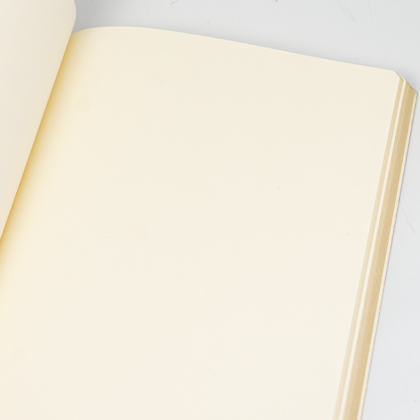 Scully 1046 Manuscript Refill Blank