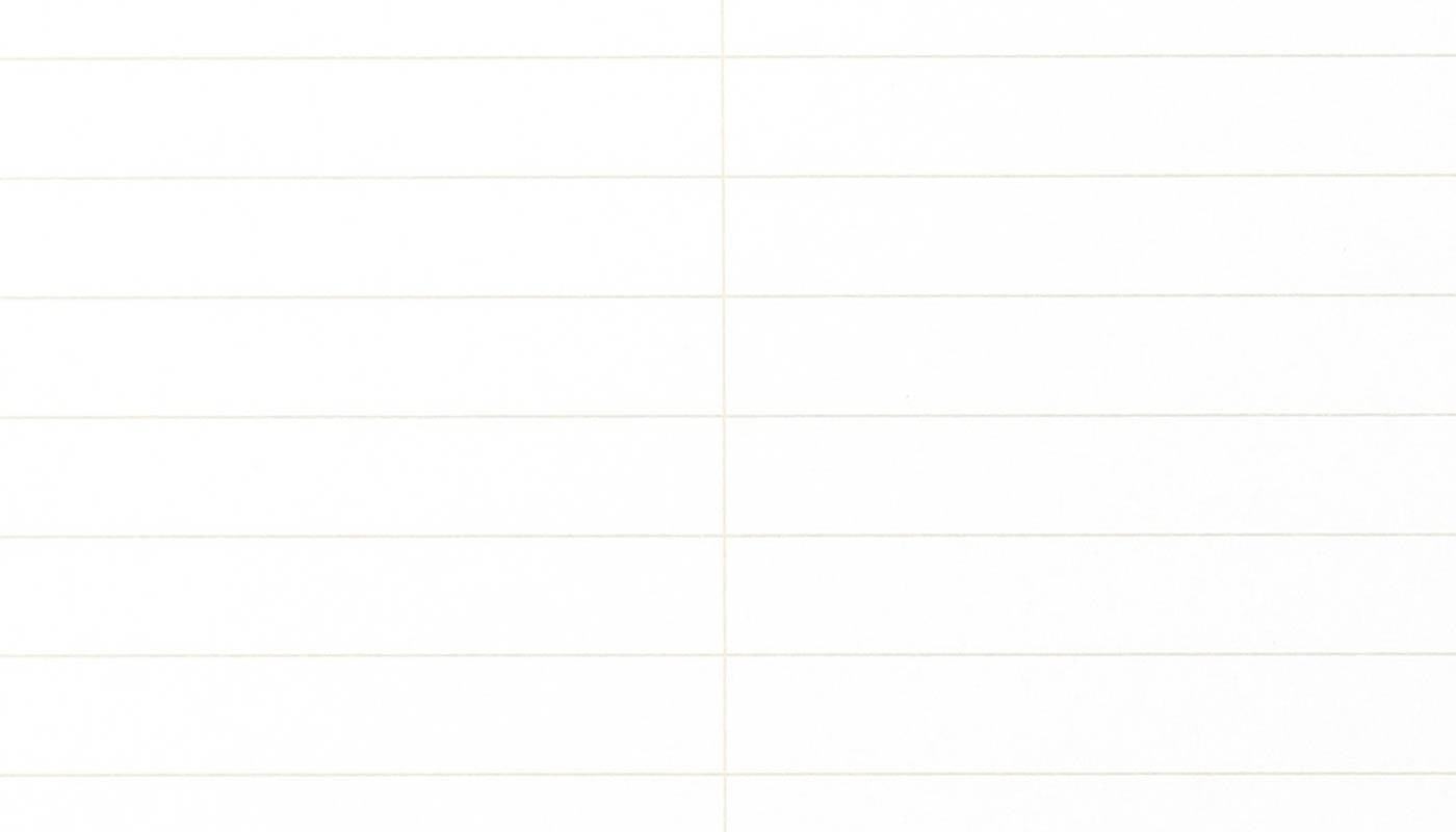 Field Notes Steno Pad - Ruled (1-Pack)