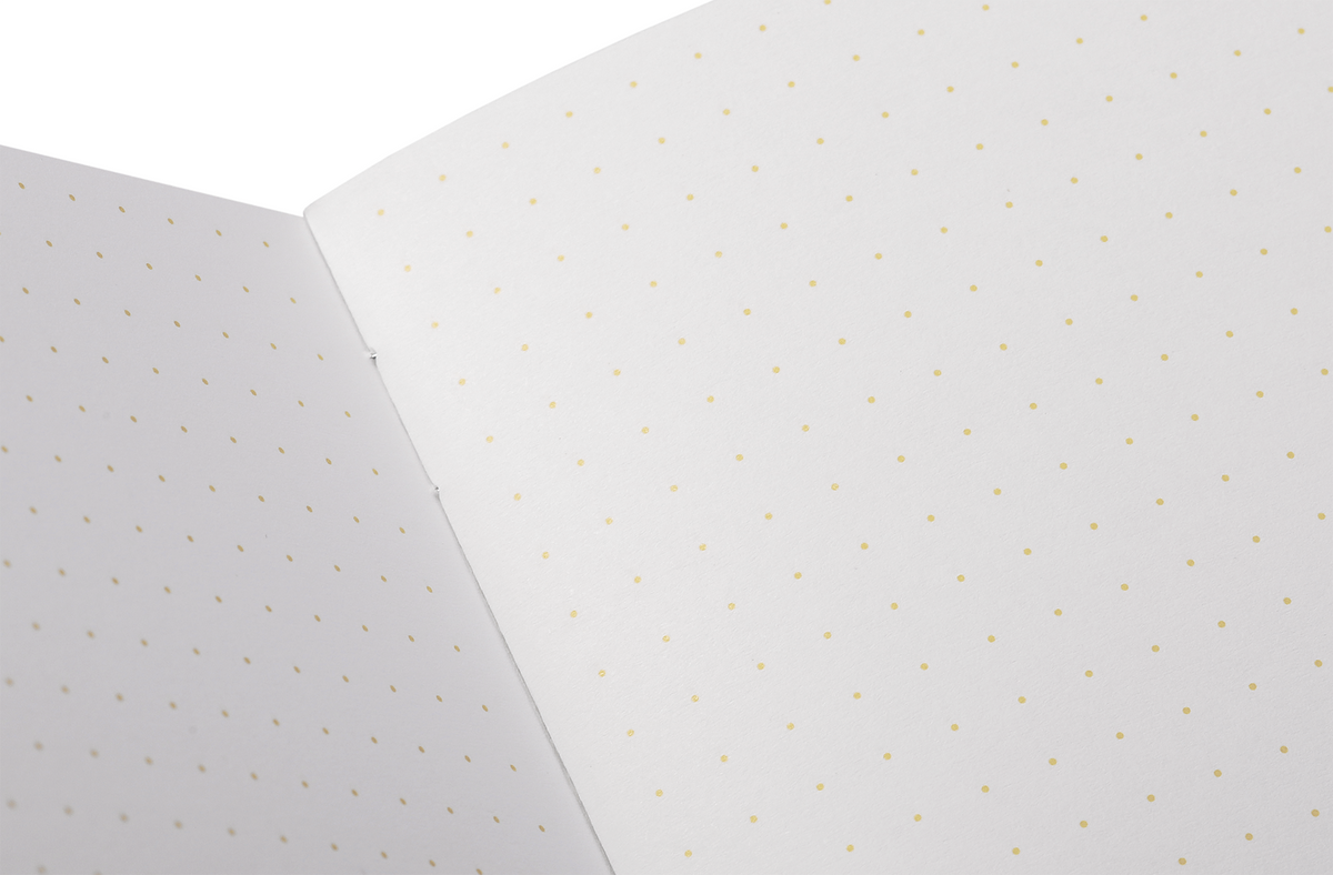 Field Notes Quarterly Edition Memo Notebook - Paletas Series C: Limón, Coco, Mango con Chamoy (3-Pack)