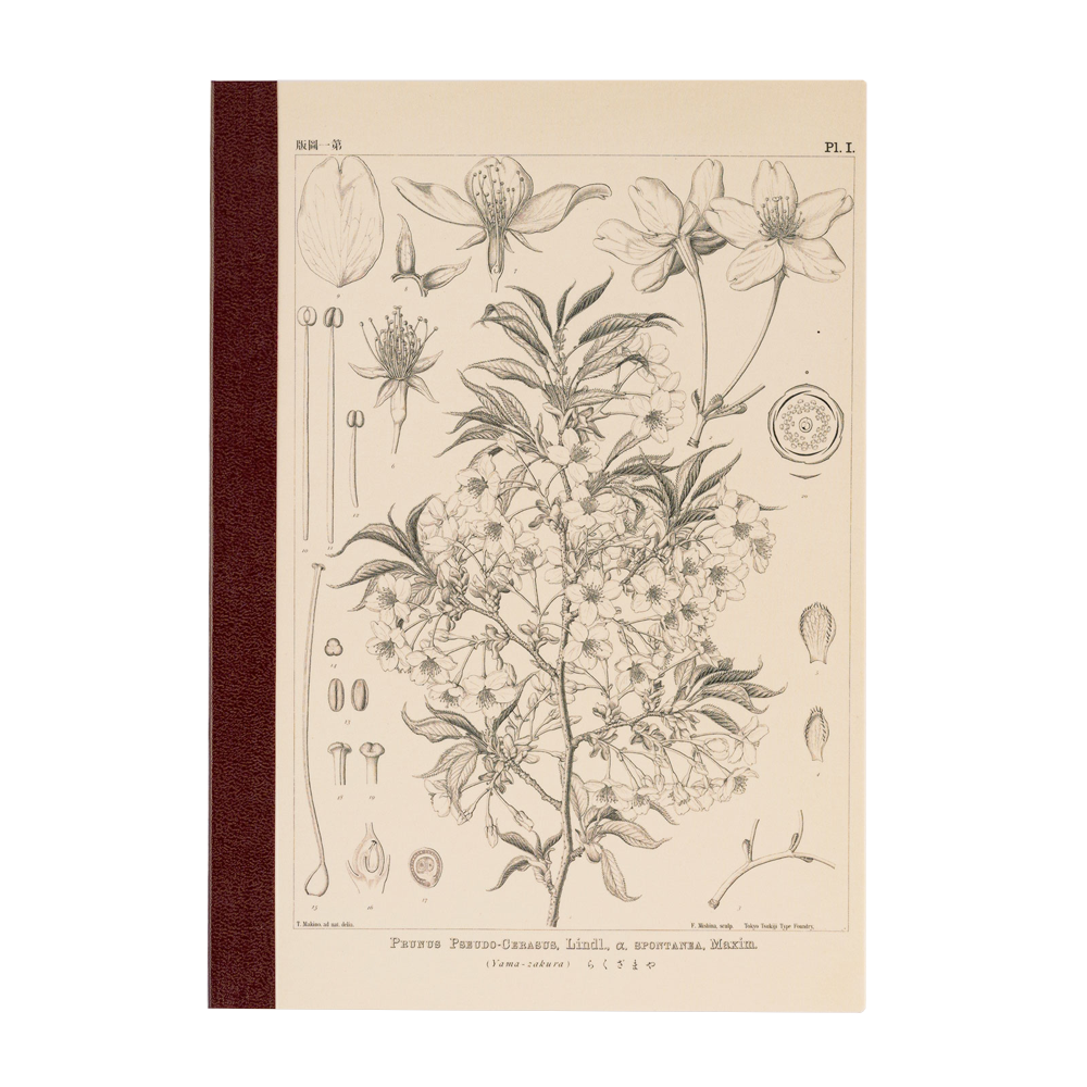 Hobonichi A5 Cousin Graph Notebook - Yamazakura