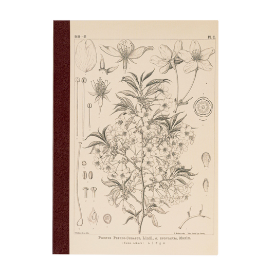 Hobonichi A5 Cousin Graph Notebook - Yamazakura