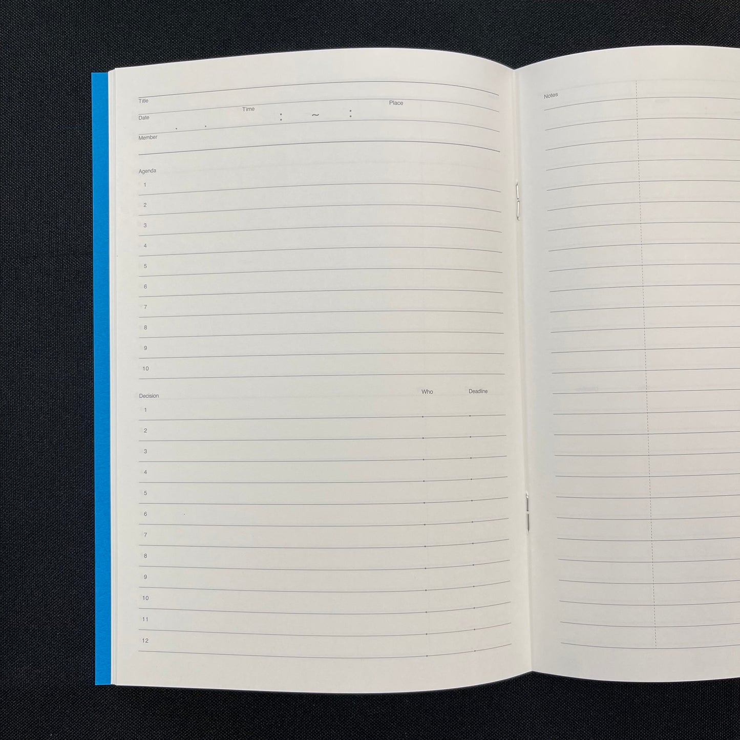 Luddite Function Notebook - Meeting Notes (Turquoise)