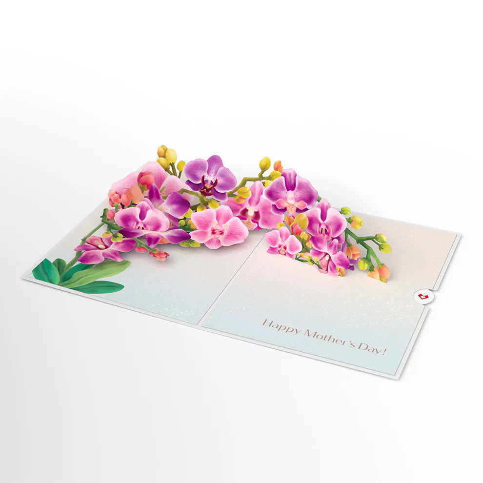 Lovepop Pop-Up Card - Mother's Day Orchid