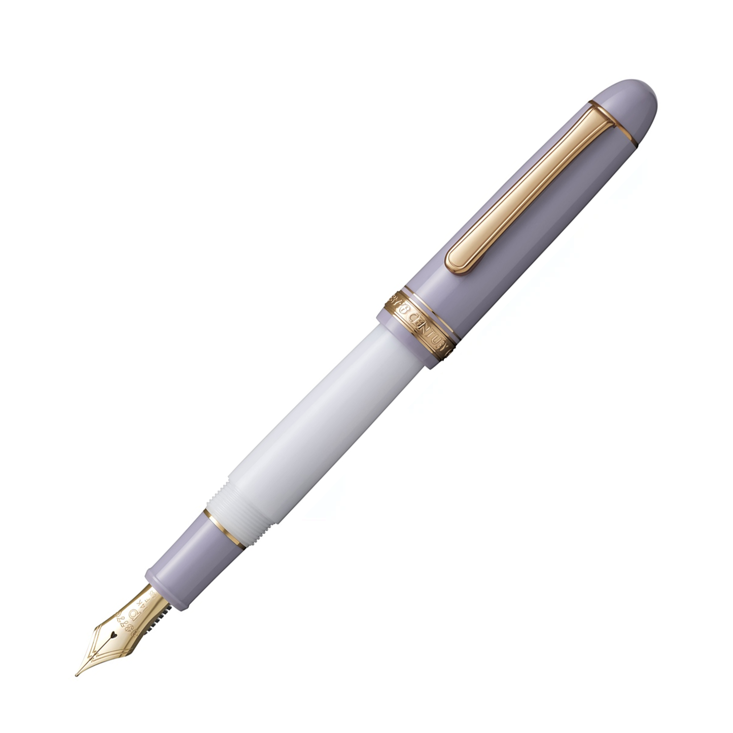 Platinum #3776 My Favorite Things Fountain Pen - Misty Bloom