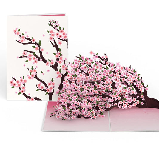 Lovepop Pop-Up Card - Cherry Blossom Branches in Bloom