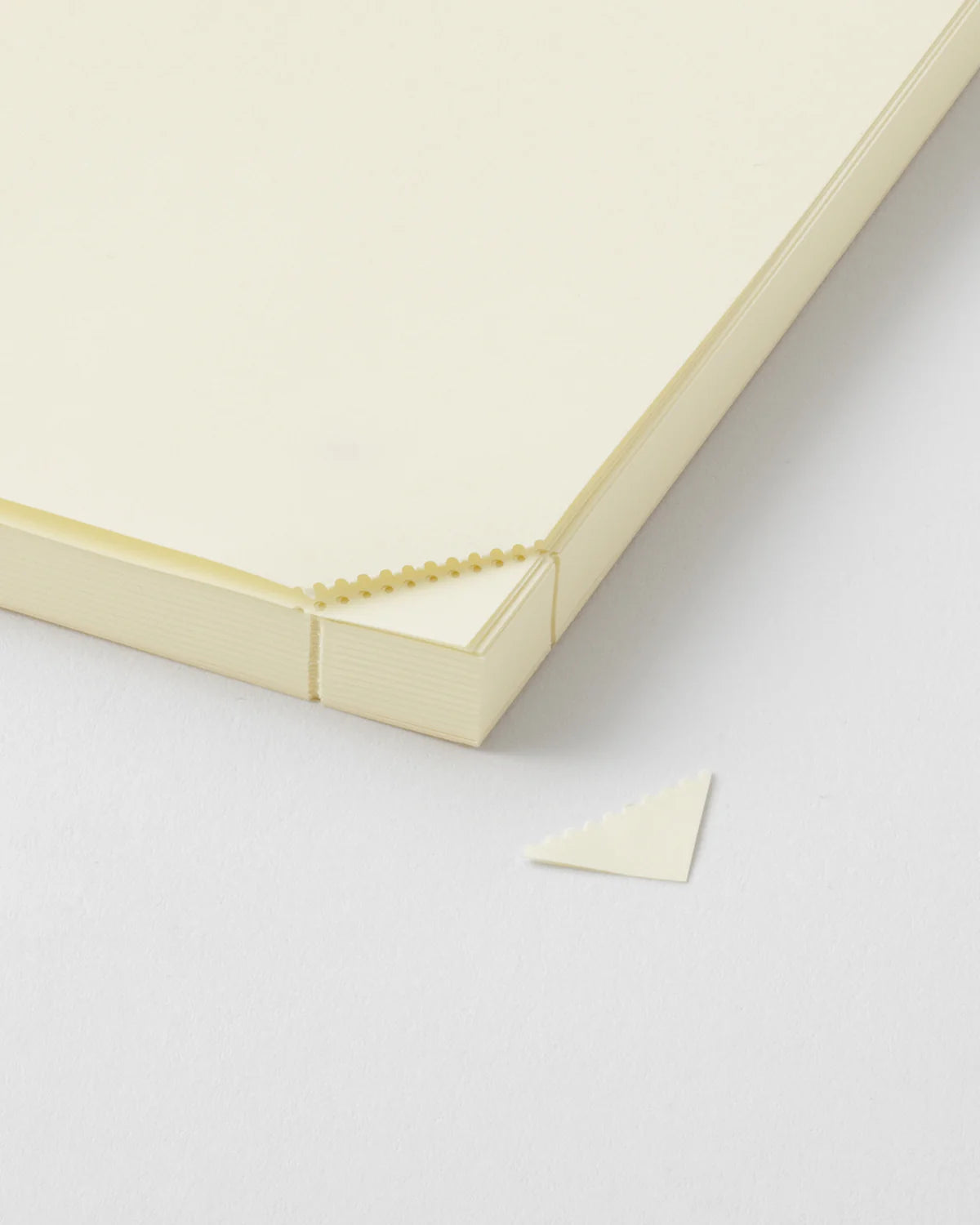 Midori MD Product A5 Codex 1 Day 1 Page Notebook - Blank