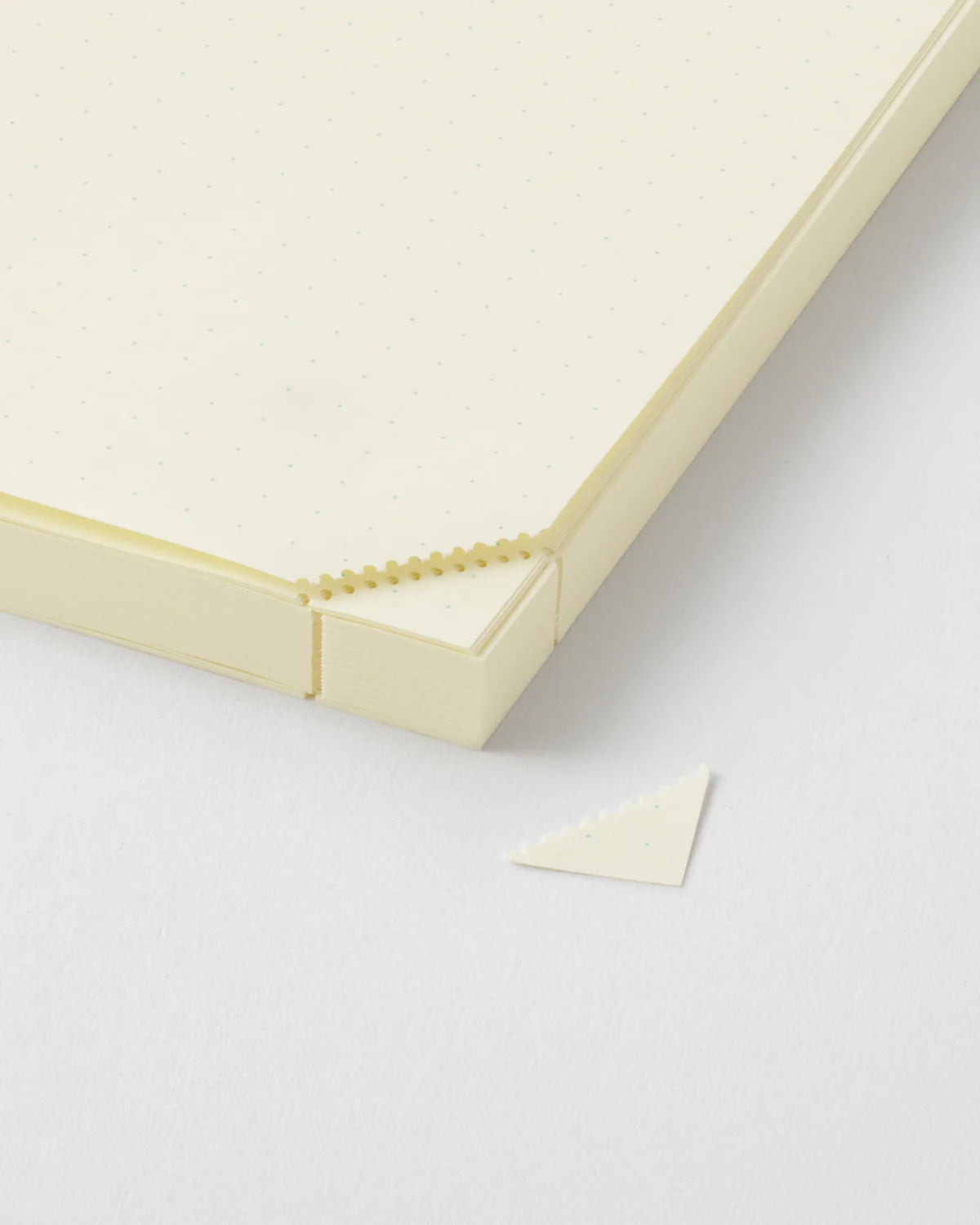 Midori MD Product A5 Codex 1 Day 1 Page Notebook - Dot Grid