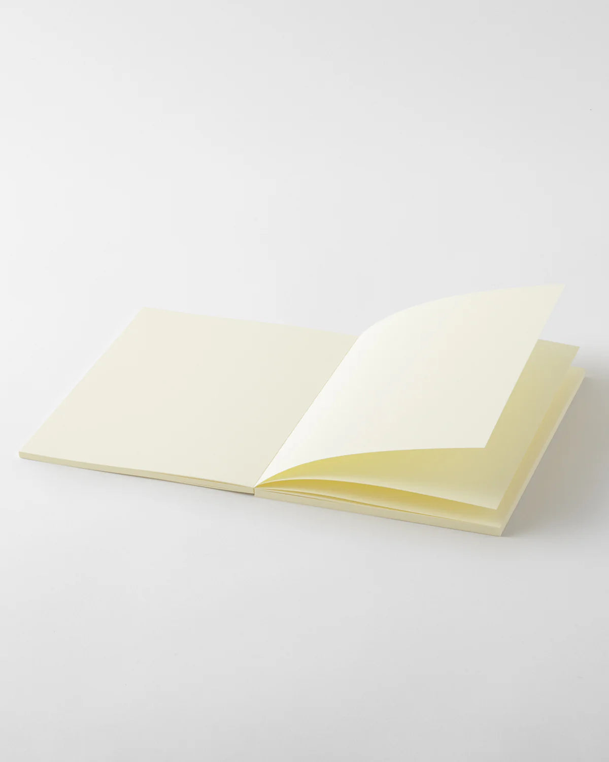 Midori MD Product Thick A5 Notebook - Blank