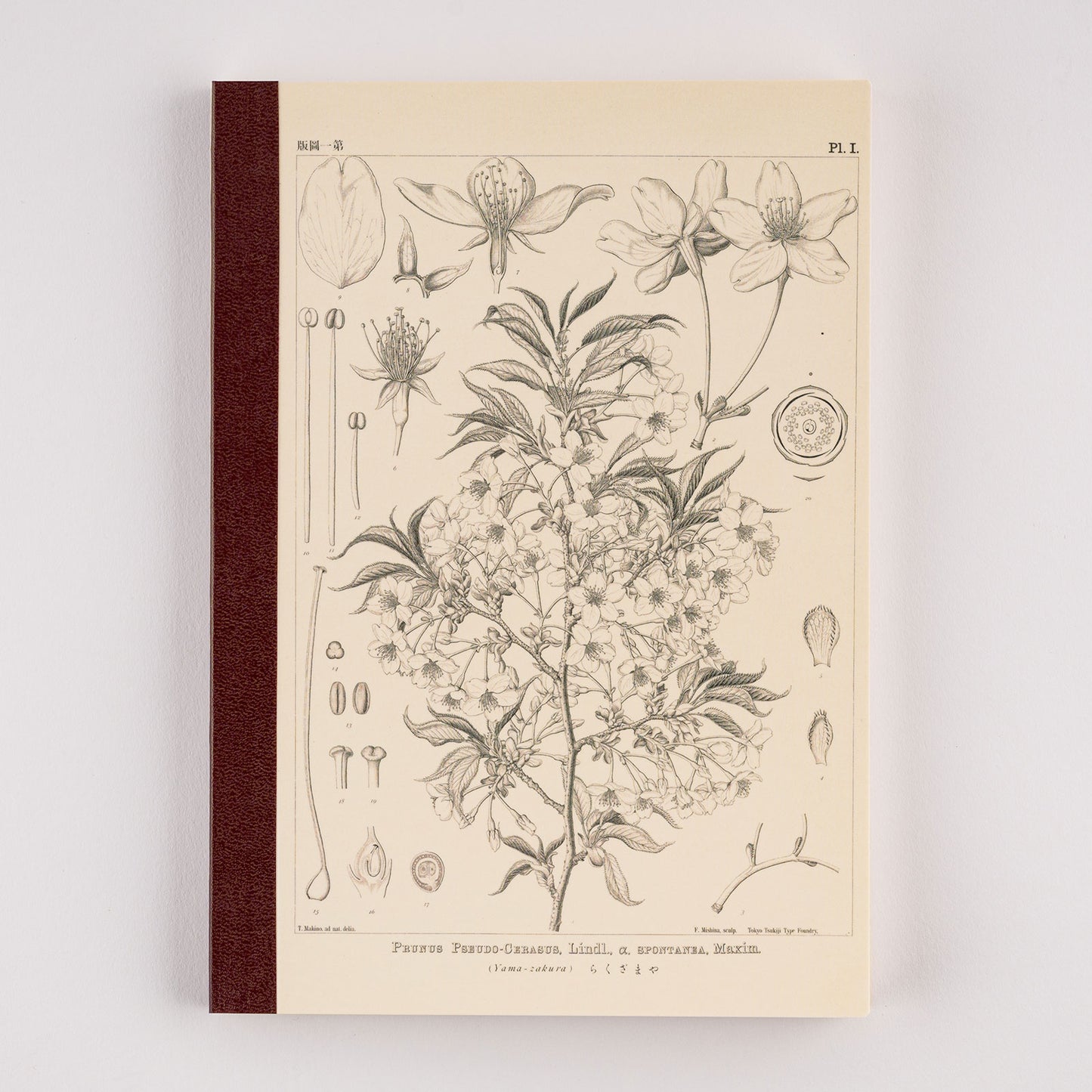 Hobonichi A5 Cousin Graph Notebook - Yamazakura