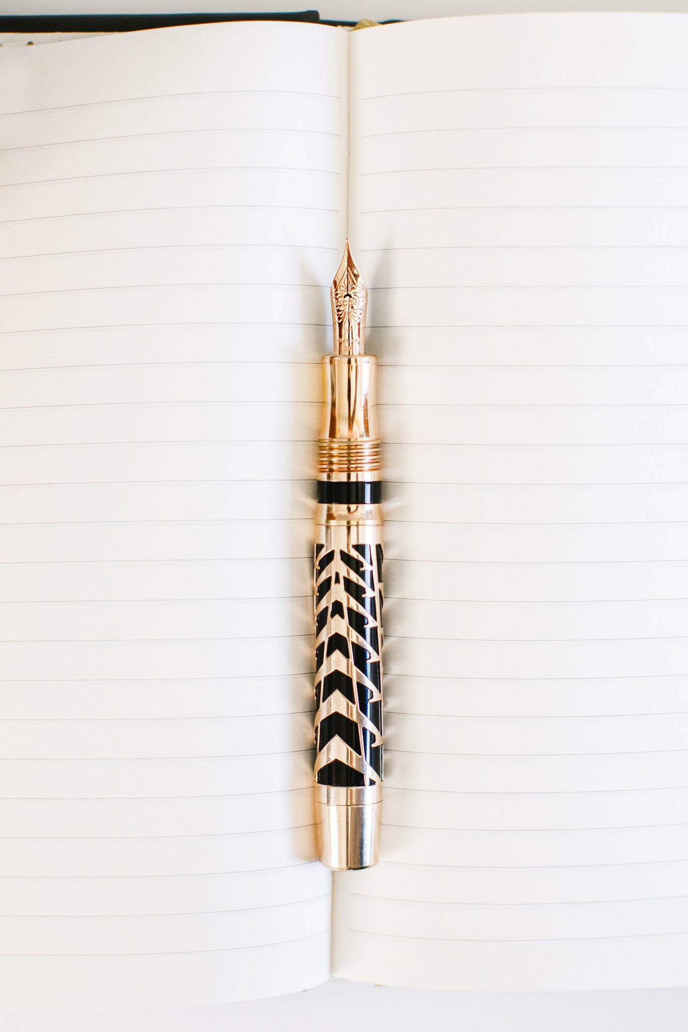Visconti Watermark Fountain Pen - Gilded Rose (Limited Edition - Retired)